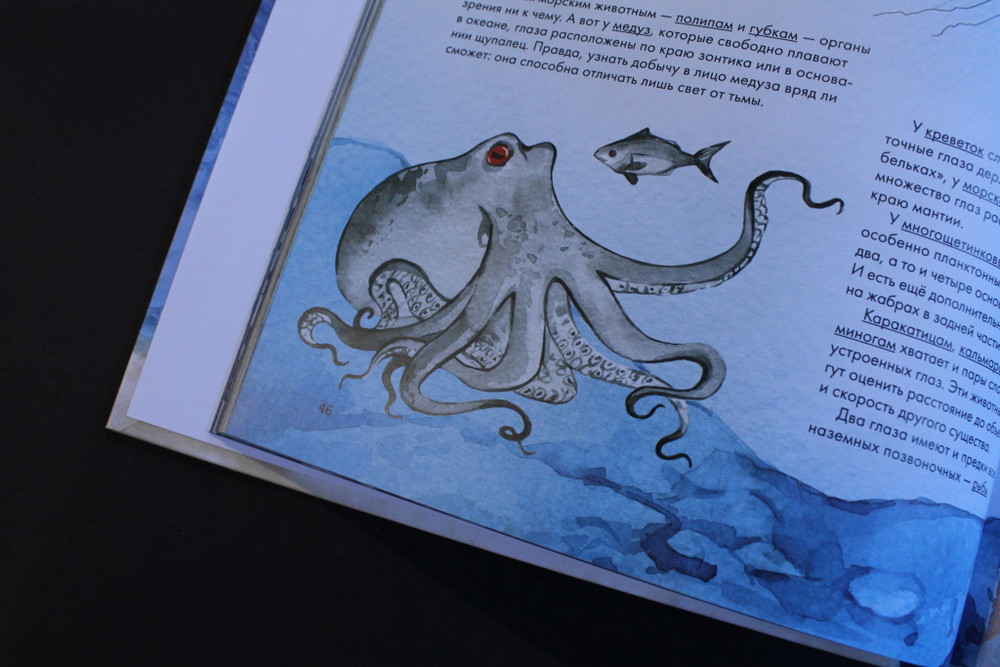 Море. И море фактов о нём