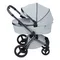 Коляска ANEX l/type 2 в 1 (lt-10t) frost + Аксесcуары