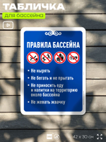 Табличка для бассейна "Правила бассейна", на пляж, для общественной и частной зоны отдыха, информационная, 40х30 см, Silver Plane x Айдентика Технолоджи