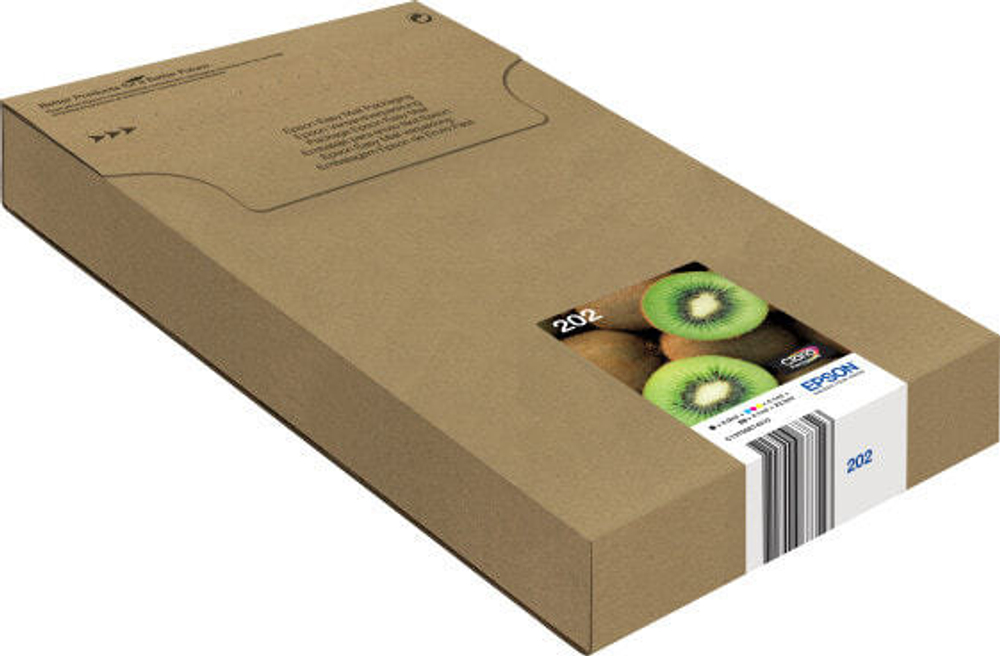 Epson 02Ink/Multipack 5-colours 202 EasyMail 1 шт C13T02E74510