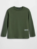 Спортивный костюм для мальчика на физкультуру