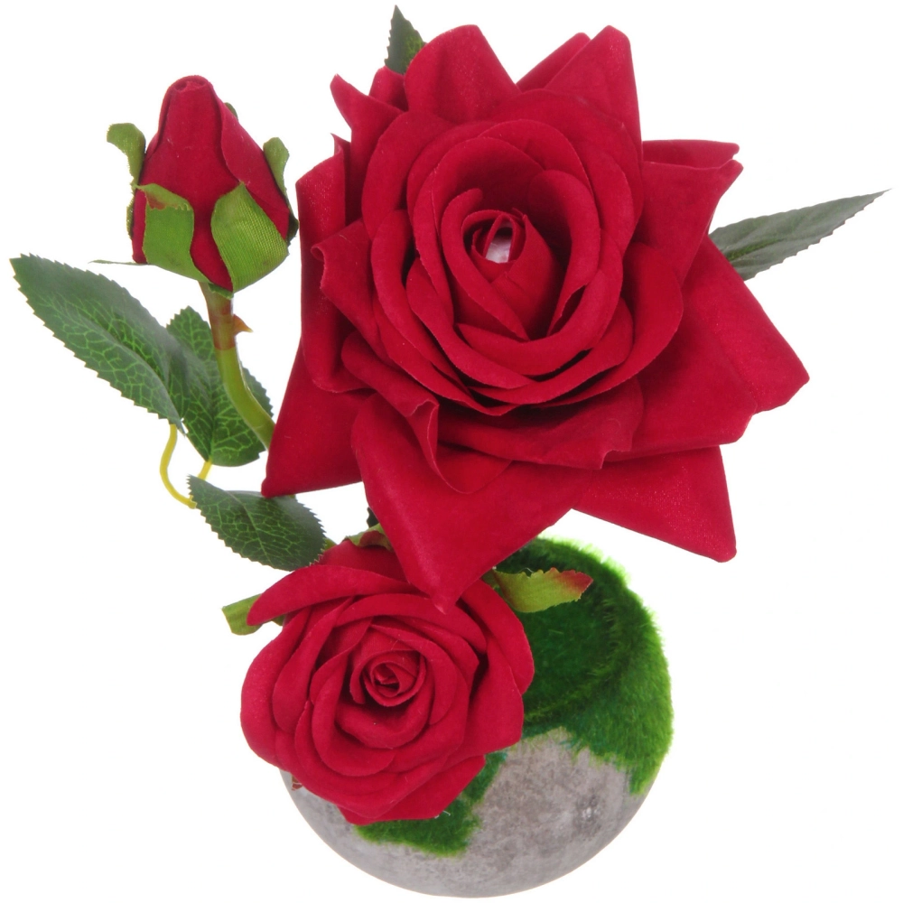 Цветочная композиция «Розовый восторг» 22см в горшке, цвет красный