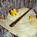 Указка для учителя из натурального дерева Сибирский кедр 300 мм. U2