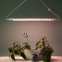 Фитолампа для растений светодиодная ЭРА FITO-9W-Rа90-Т8+FITO-Holder IP65 2хG13 с выключателем 1.5м | Фитолампы T8