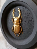 Панно на стену для интерьера Жук олень