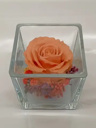 натуральная роза в стекле, вакуум*