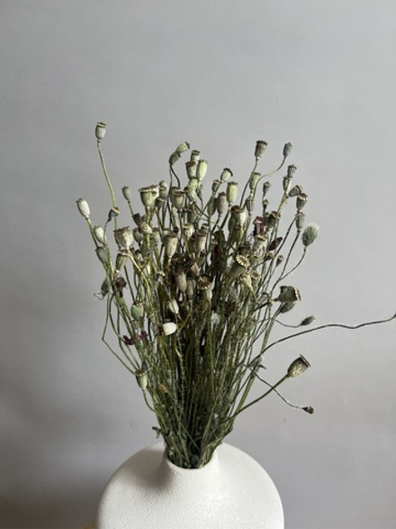 Папавер мини натуральный