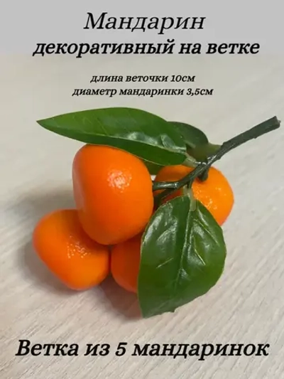 Мандарины на ветке для декора