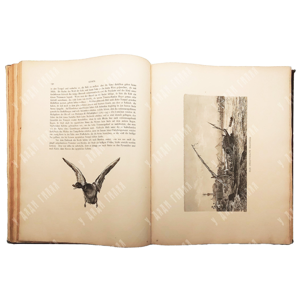 Георг Эберс. Египет / Georg Ebers. Aegypten in Bild und Wort. В 2 т., 1879.