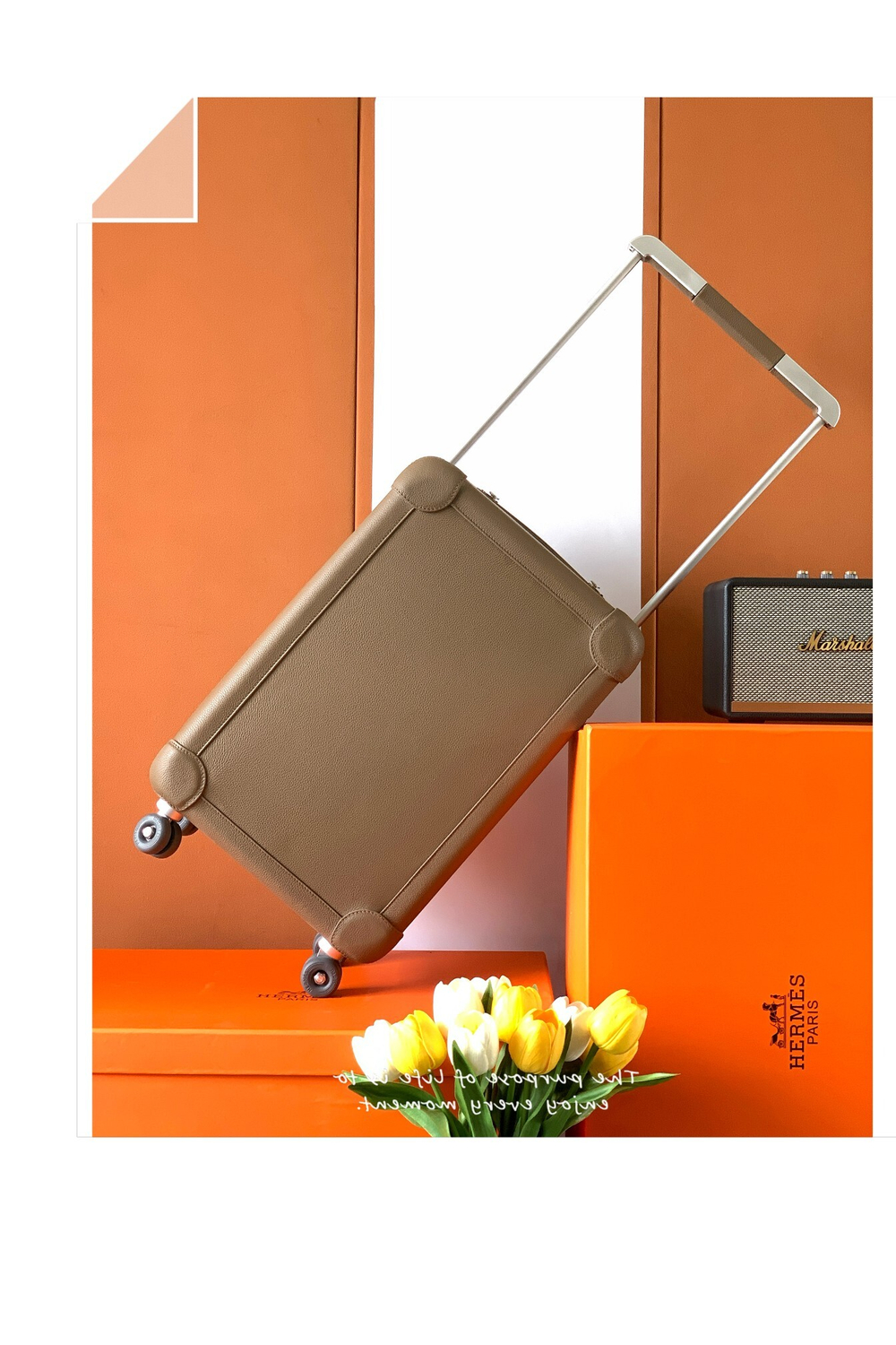 Hermes R.M.S Cabin Suitcase