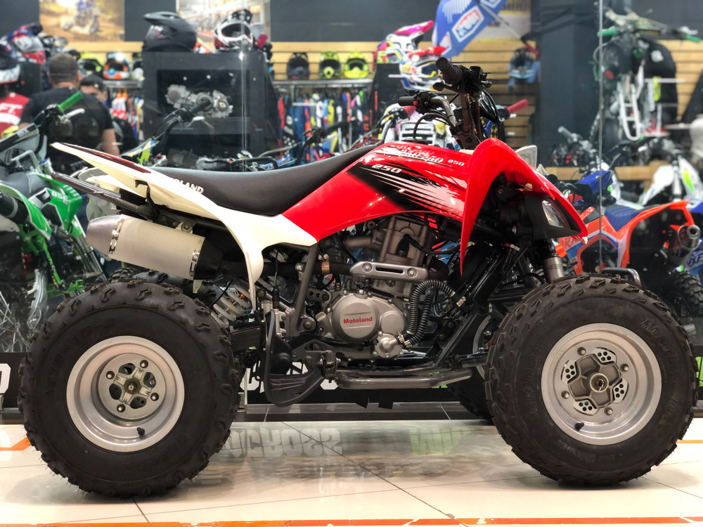MOTOLAND ATV 250S (2021)