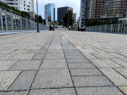 Сибревкомовский мост, г. Новосибирск