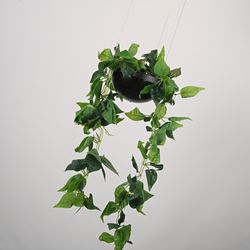 Подвесной Светильник Palma Wall Lamp 2 Шара + 1 Вазон By Imperiumloft