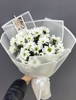 Хризантемы