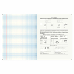 Тетрадь предметная PIGMENT 48 л., глянцевый УФ-лак, ИНФОРМАТИКА, клетка, подсказ, BRAUBERG, 404764