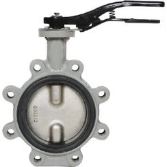 Затвор дисковый Giacomini поворотный с проушинами DN600, R59FLX060