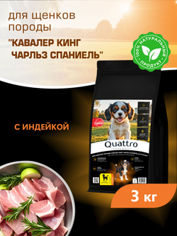 Корм сухой для щенков породы Кавалер кинг чарльз спаниель, с индейкой, 3 кг, QUATTRO