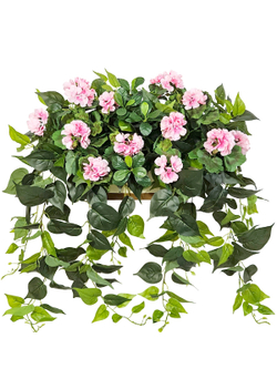 Герань розовая с зеленью 80см в длинном кашпо