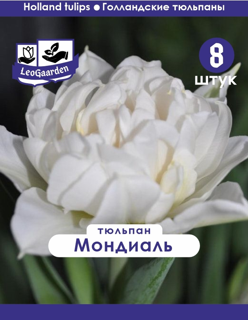 Тюльпан Луковица, Мондиаль, 8 шт