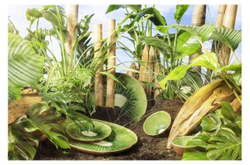 Блюдо Bordallo Pinheiro Тропические фрукты Киви 40х31см