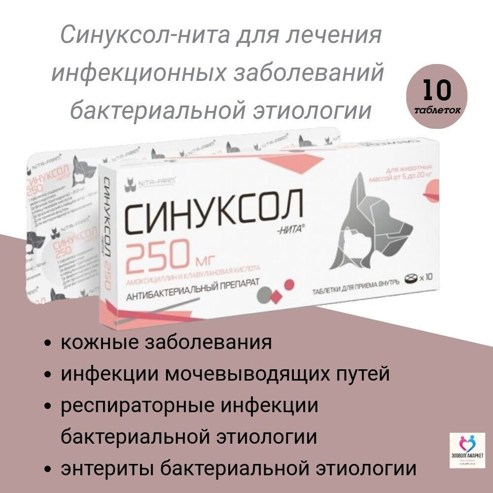 НИТА-ФАРМ Синуксол-нита 500 мг, таблетки, 10 шт. Амоксициллин.