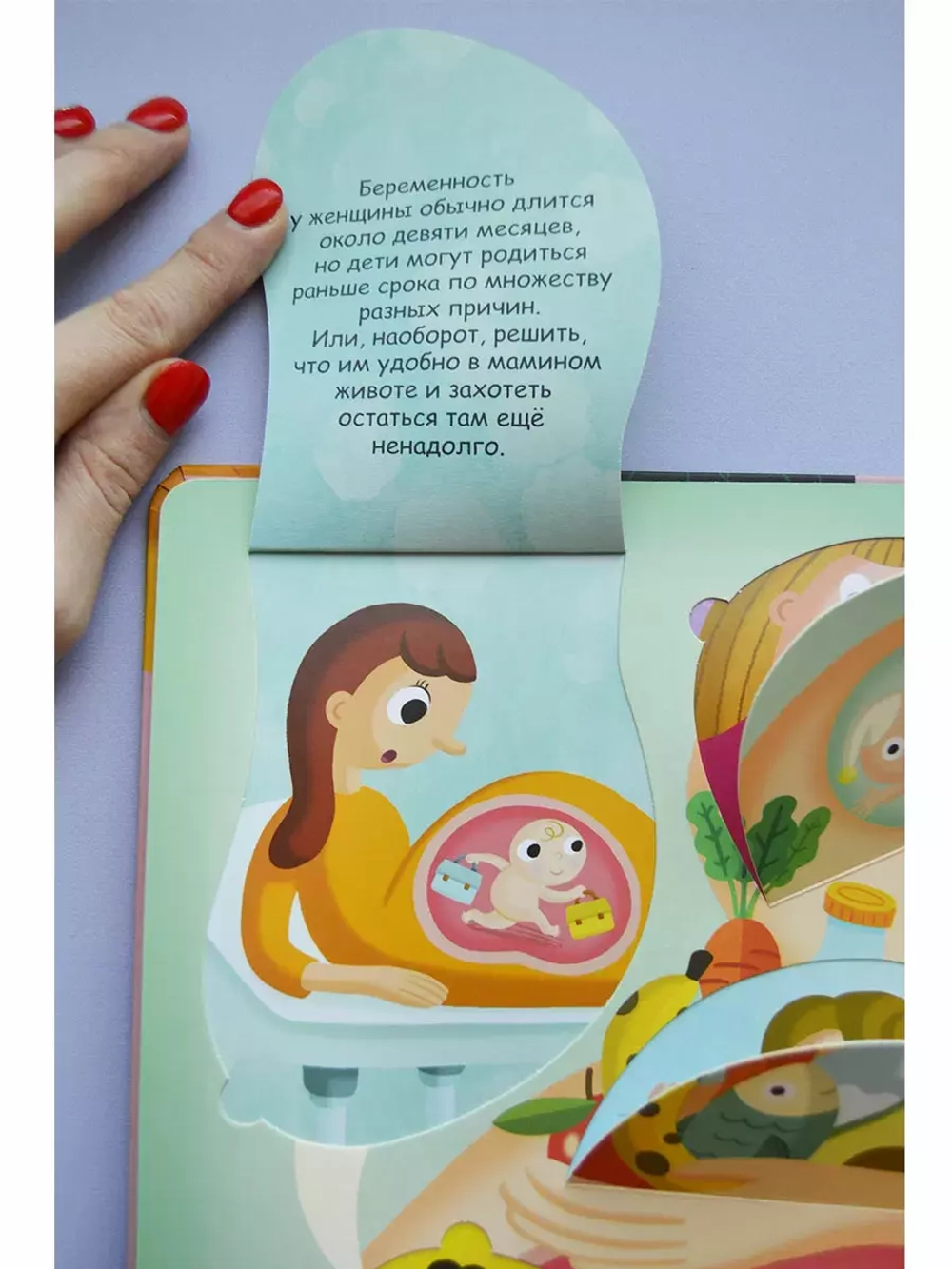 Волшебные окошки. Откуда берутся дети?