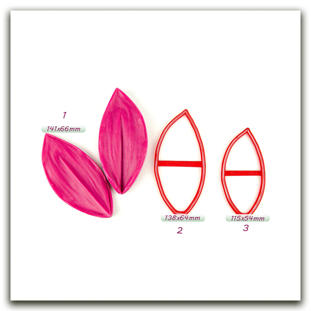 Лист ландыша