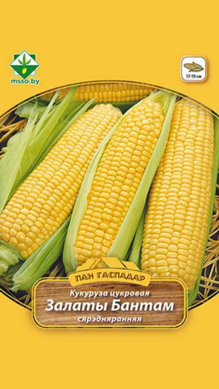 Кукуруза сахарная "Золотой бантам" 12г., Германия.