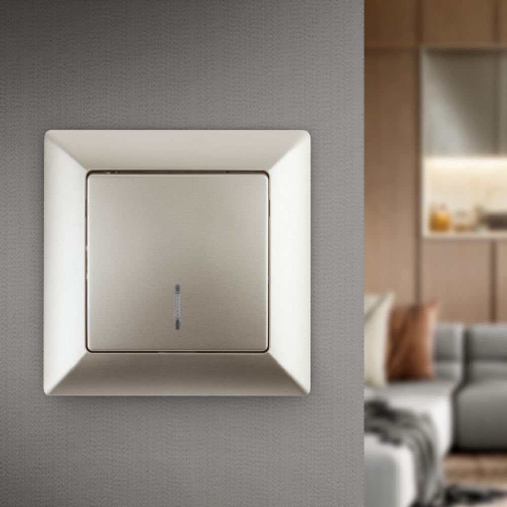 Выключатель Intro Solo 4-102-04 одноклавишный с подсветкой, 10А-250В, IP20, СУ, шампань