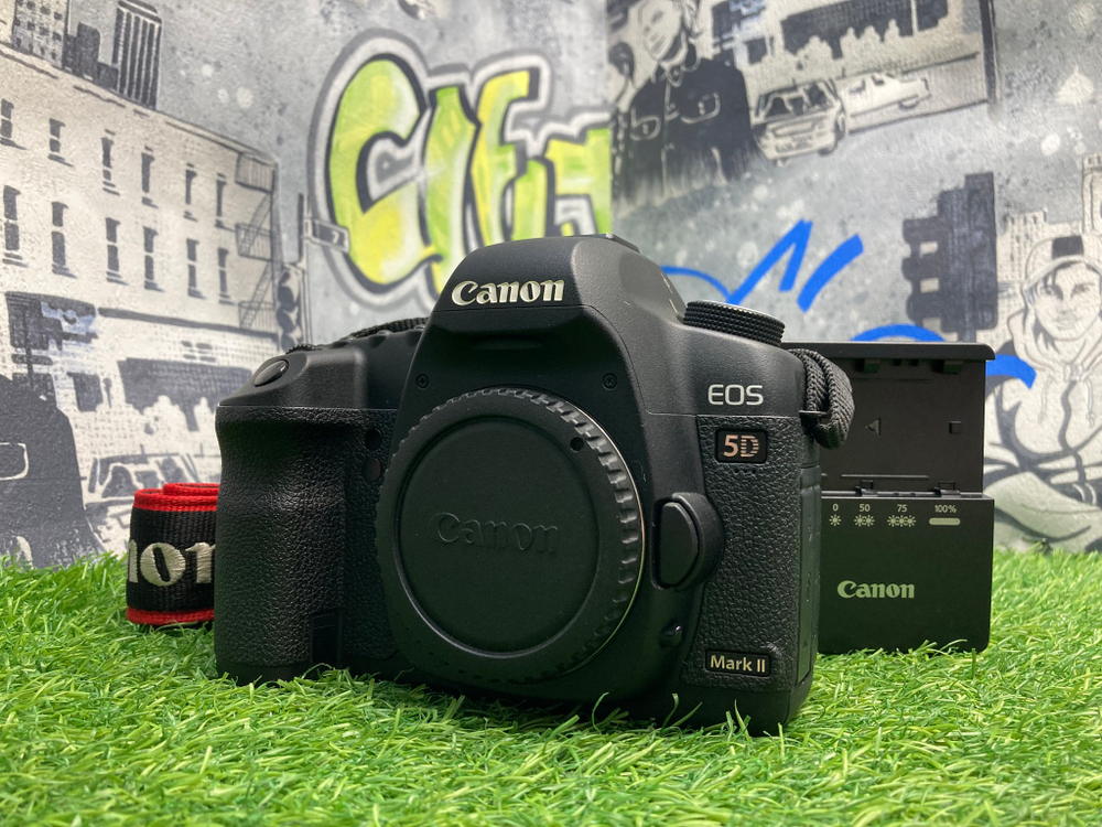 Canon EOS 5D Mark II 12.900 кадров