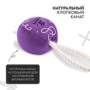Игрушка Mr.Kranch для собак мелких и средних пород Шарик новогодний с канатом 20х9х9 см, фиолетовый Игрушка Mr.Kranch для собак мелких и средних пород Шарик новогодний с канатом 20х9х9 см, фиолетовый