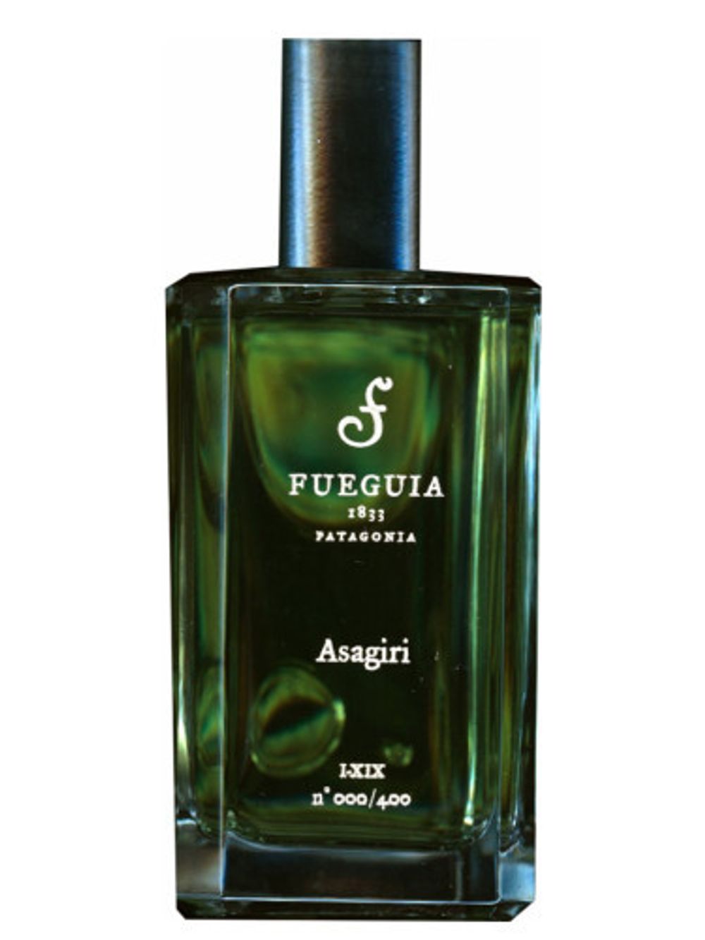 Fueguia 1833 Asagiri