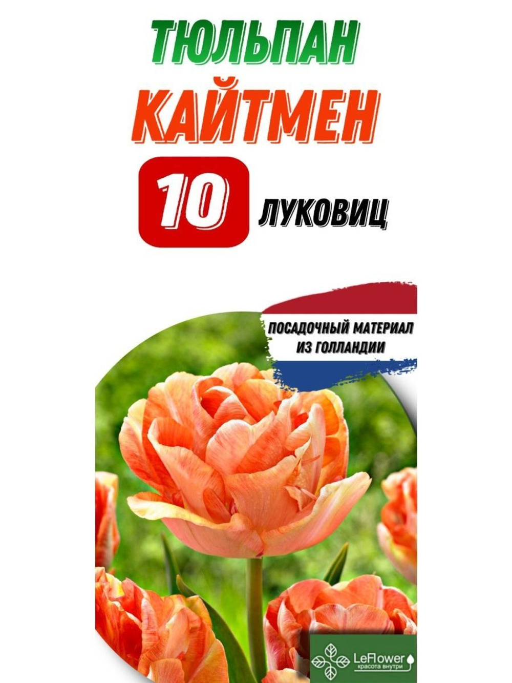 Тюльпан Луковица, Кайтмен, 10шт