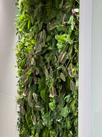 Вертикальное озеленение искусственными растениями и мхом