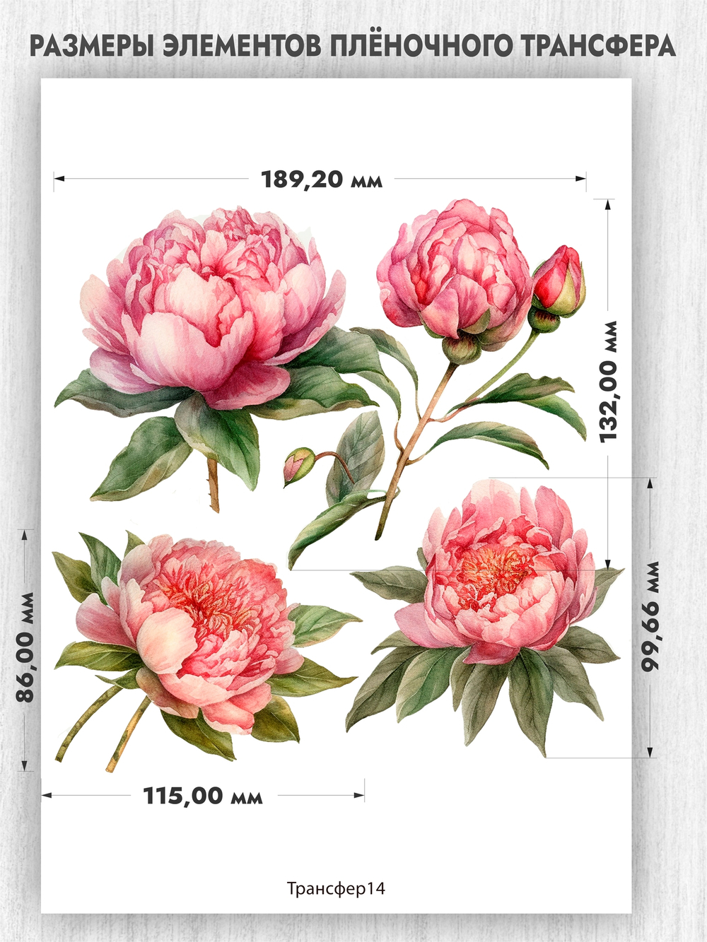 Трансфер для декупажа переводной рисунок для поверхностей пион 014