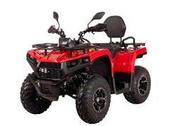 Квадроцикл BIZON YK200 Basic Carb