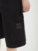 Мужские Шорты Ash Canvas