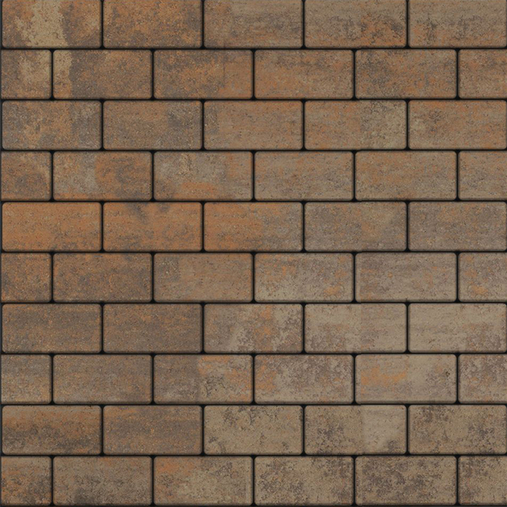 Тротуарная плитка ПРЯМОУГОЛЬНИК 200x100 мм - Листопад гладкий Клен