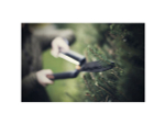 Ножницы для живой изгороди HS22 с волнообразным лезвием FISKARS Single Step