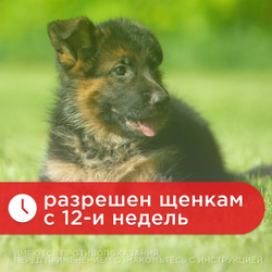Капли на холку от блох, клещей, вшей и власоедов для щенков и собак до 20 кг Дана Спот-Он (Apicenna), 2 пипетки Фипронил