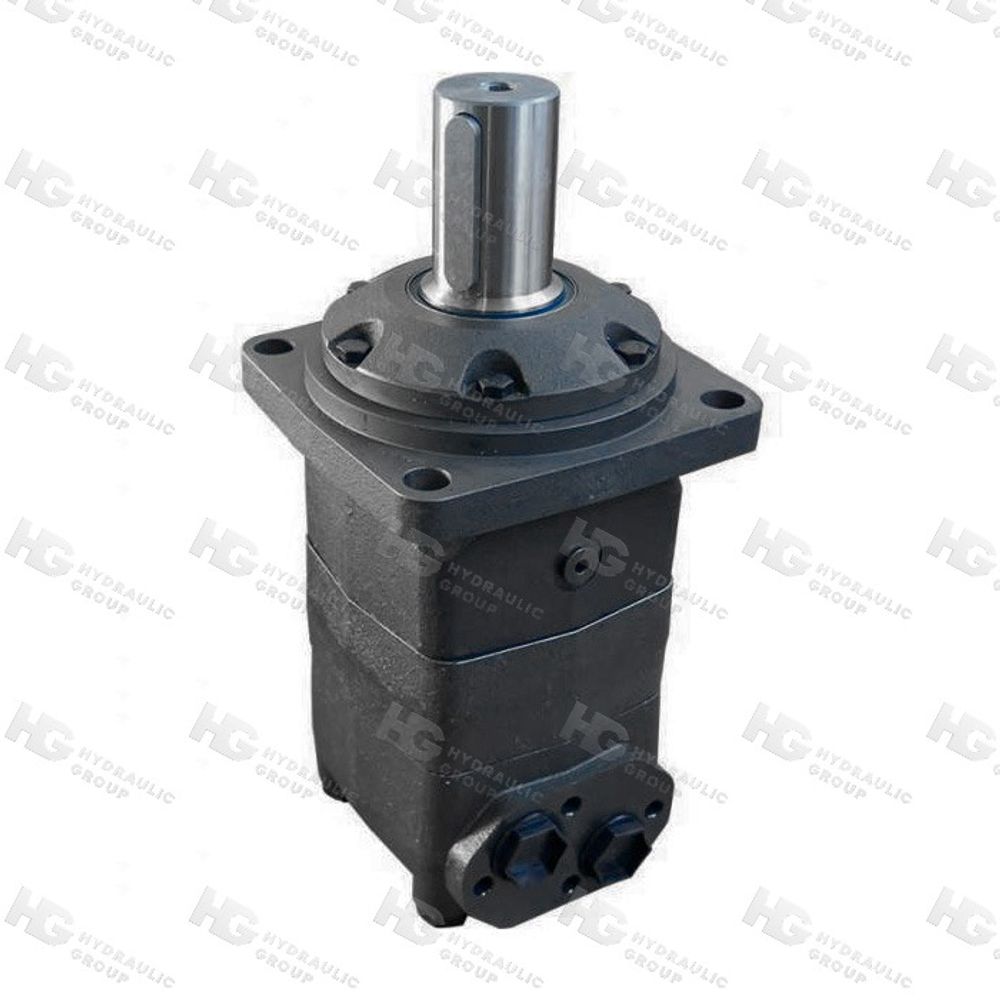 Гидромотор героторный BM5U-800P99AY/T7