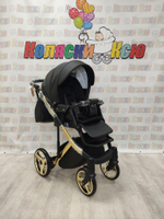Коляска модульная Adamex Chantal Star Collection Star 102