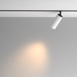 Трековый светильник Maytoni Exility Artisan TR097-2-12W3K-M-BW