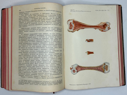 Eulenburg A., проф. Эйленбург А  Реальная энциклопедия практической медицины в XVII томах. 1909-1915