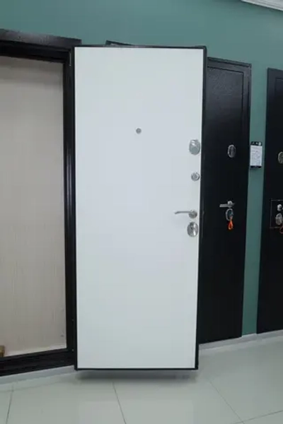 Дверь входная Норма