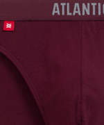 Мужские трусы слипы спорт Atlantic, набор 5 шт., хлопок, каберне + серый меланж + изумрудные + черные + темно-голубые, 5SMP-004