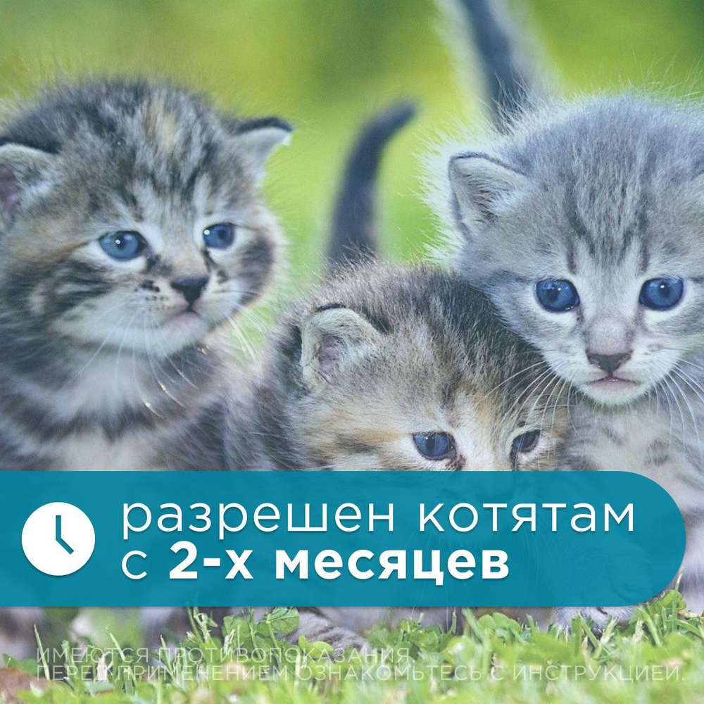 Капли на холку от блох, клещей, глистов и также для профилактики дирофиляриоза у кошек и котят от 4 до 8 кг, Празицид-комплекс НЕО Апиценна, 0.8 мл, 1 пипетка