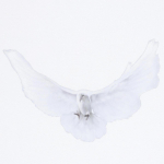 YEEZY x Gap x Balenciaga, футболка, белая