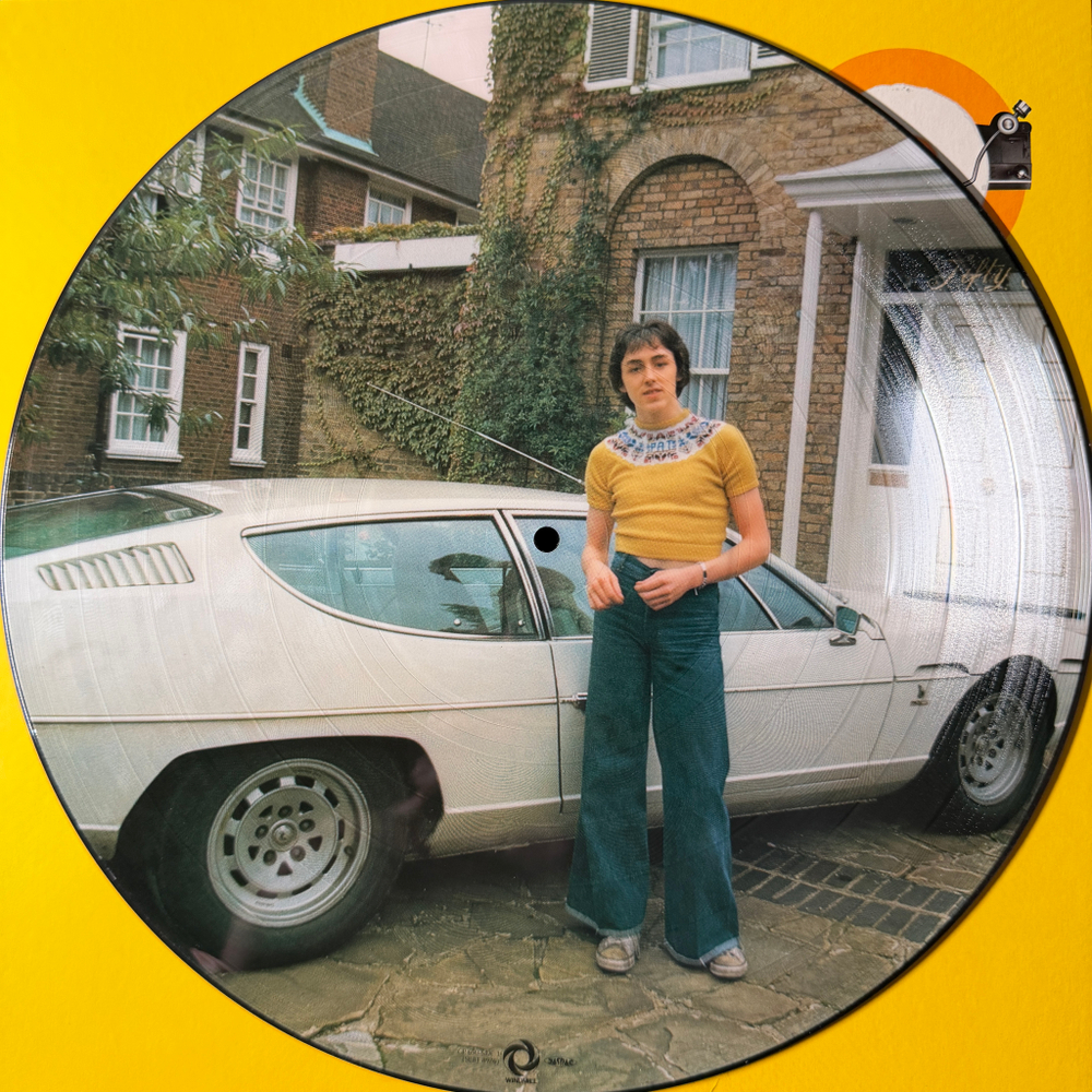 Виниловая пластинка The Pat McGlynn Band ‎– Flying High LP Picture