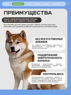 Корм сухой для взрослых собак породы Акита-ину, с ягненком, 2.5 кг, QUATTRO